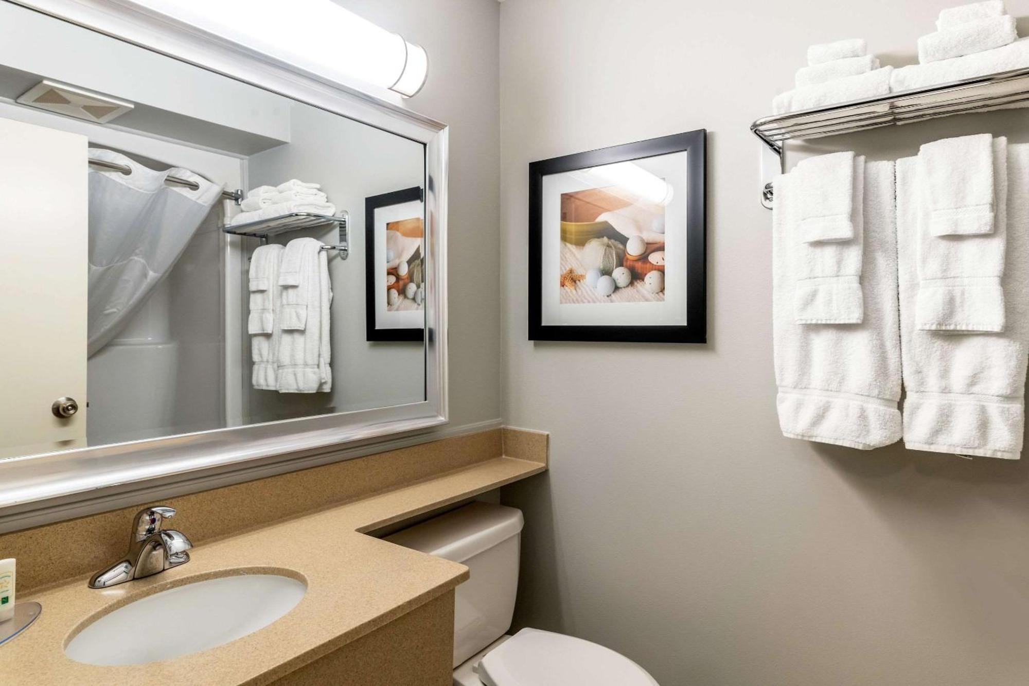 Quality Inn & Suites Amsterdam Fredericton Zewnętrze zdjęcie