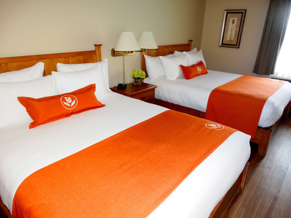 Quality Inn & Suites Amsterdam Fredericton Zewnętrze zdjęcie